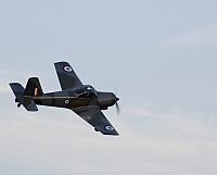 DSC 0229